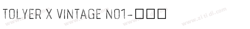 Tolyer X Vintage No1字体转换